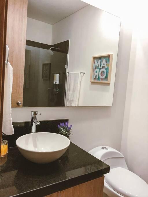 1bd Amazing View-modern Apt-luxury Building
